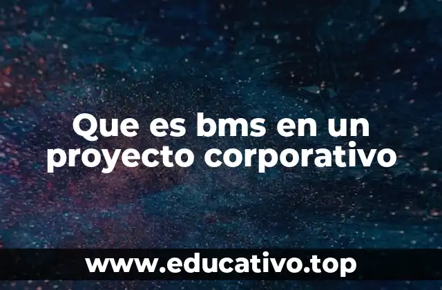 Que es bms en un proyecto corporativo