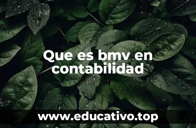 Que es bmv en contabilidad