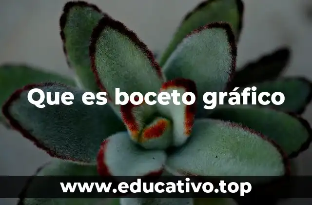 Que es boceto gráfico