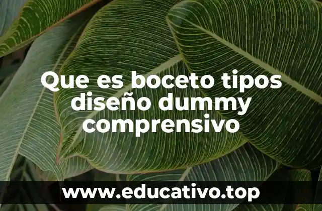 Que es boceto tipos diseño dummy comprensivo