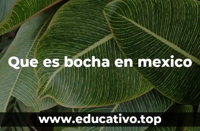 Que es bocha en mexico