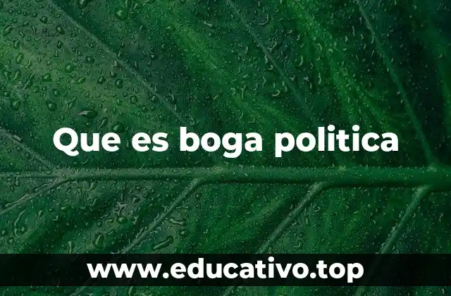 Que es boga politica