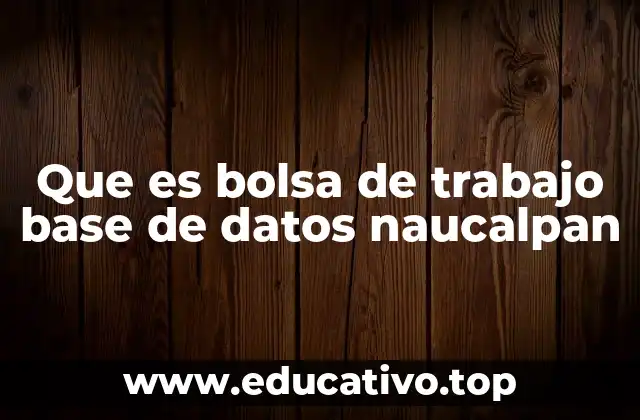 Que es bolsa de trabajo base de datos naucalpan