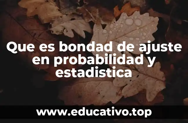 Que es bondad de ajuste en probabilidad y estadistica