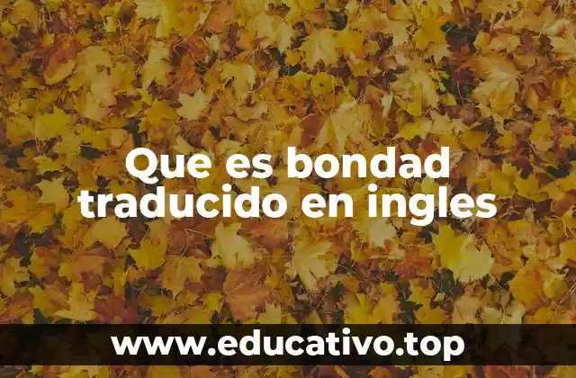 Que es bondad traducido en ingles