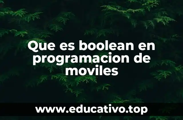 Que es boolean en programacion de moviles