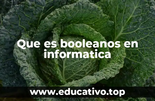 Que es booleanos en informatica