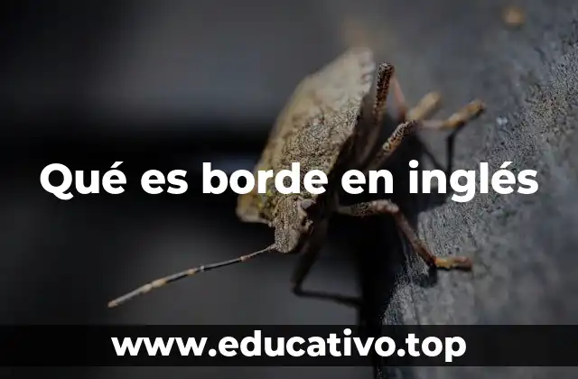 El uso de edge en contextos cotidianos y técnicos