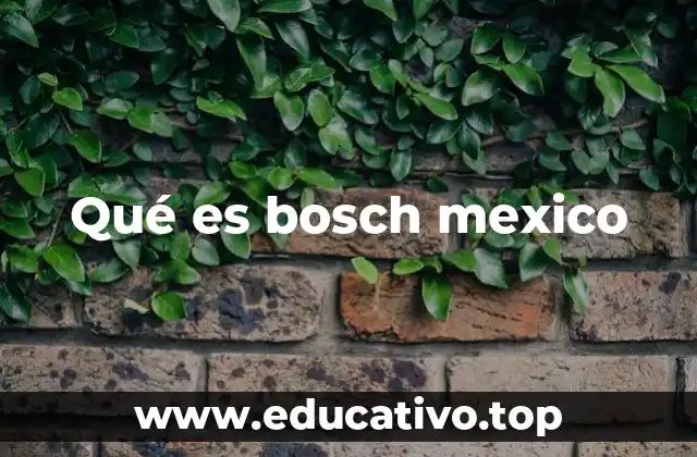 Qué es bosch mexico