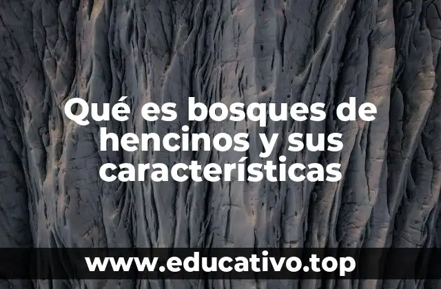 Qué es bosques de hencinos y sus características