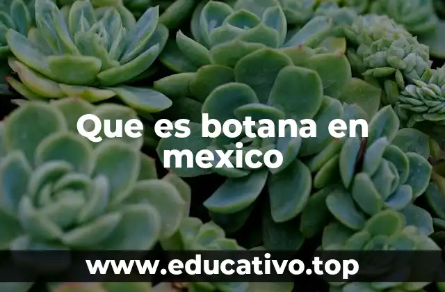Que es botana en mexico