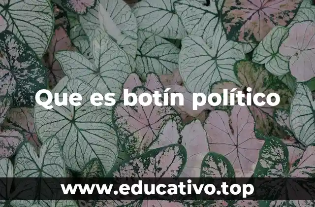 Que es botín político