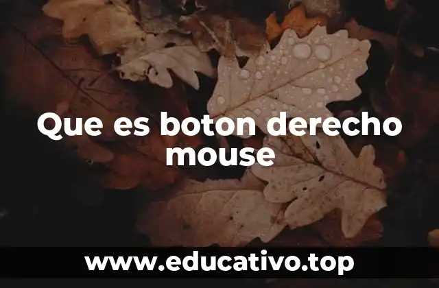 Que es boton derecho mouse