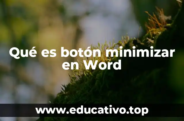 Qué es botón minimizar en Word