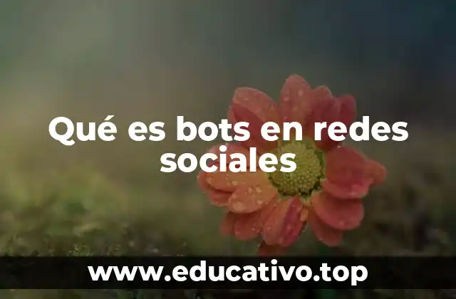 Qué es bots en redes sociales