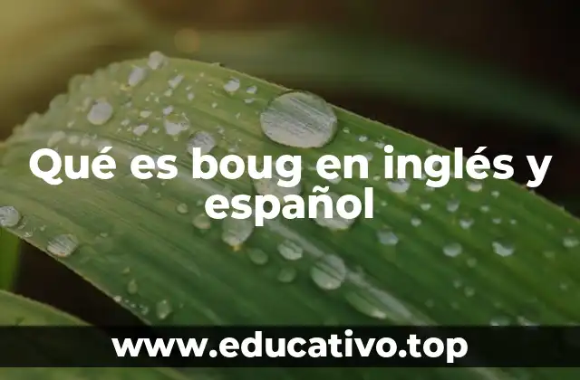 Qué es boug en inglés y español