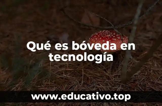 Qué es bóveda en tecnología
