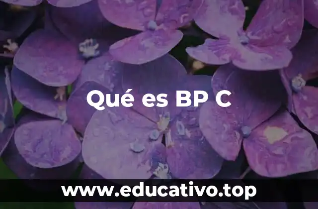 Qué es BP C