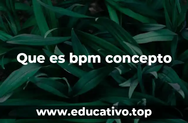 Que es bpm concepto