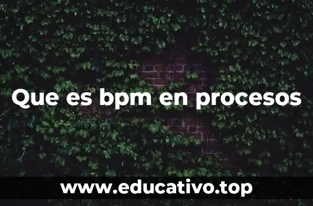 Que es bpm en procesos