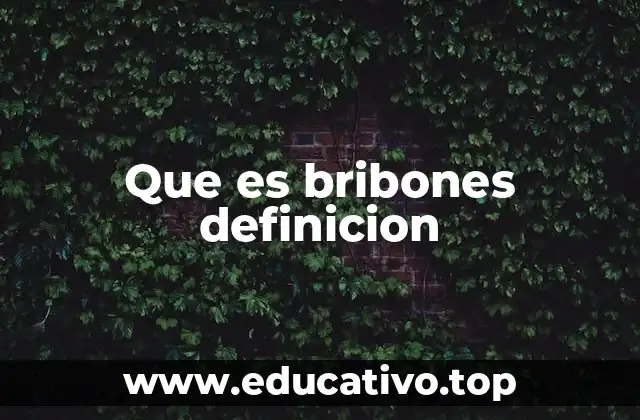 Que es bribones definicion