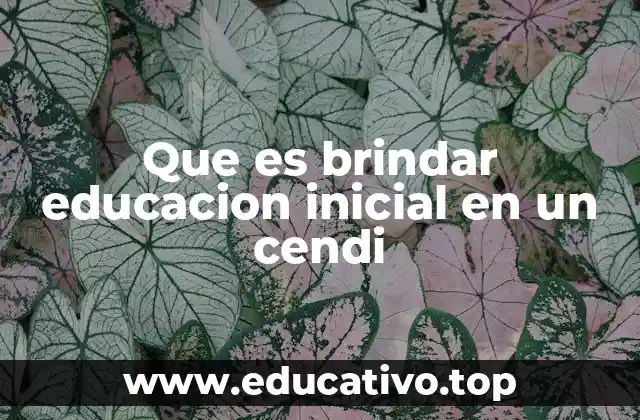 Que es brindar educacion inicial en un cendi