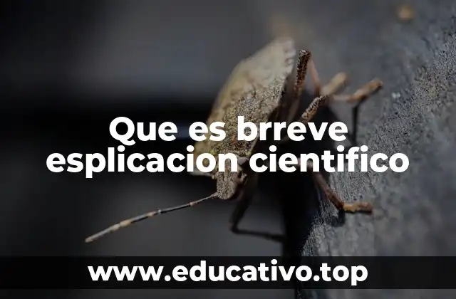 Que es brreve esplicacion cientifico