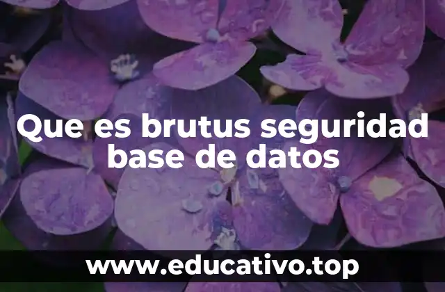 Que es brutus seguridad base de datos