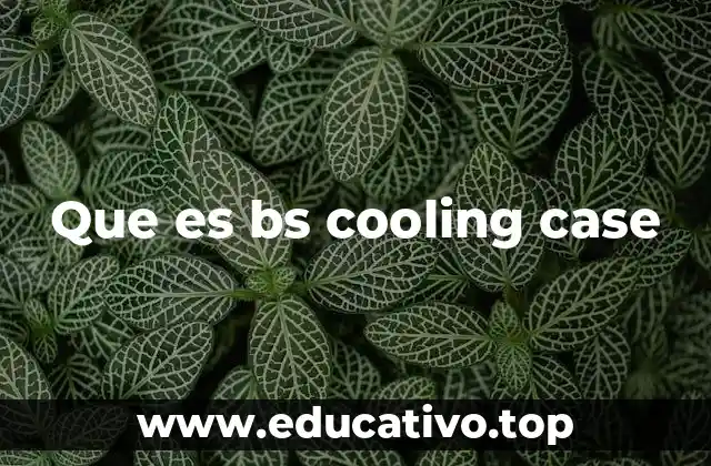 Que es bs cooling case