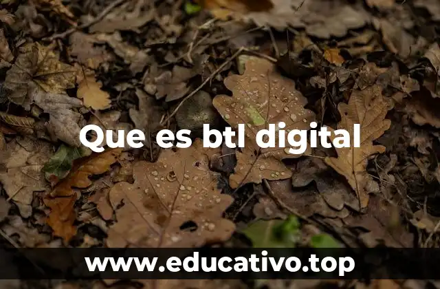 Que es btl digital