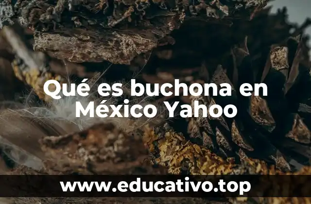 Qué es buchona en México Yahoo
