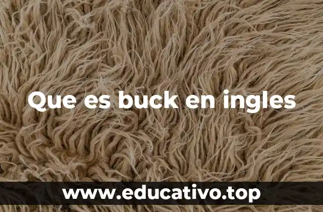 Buck en el contexto financiero y monetario