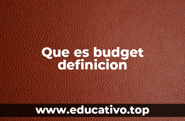 Que es budget definicion