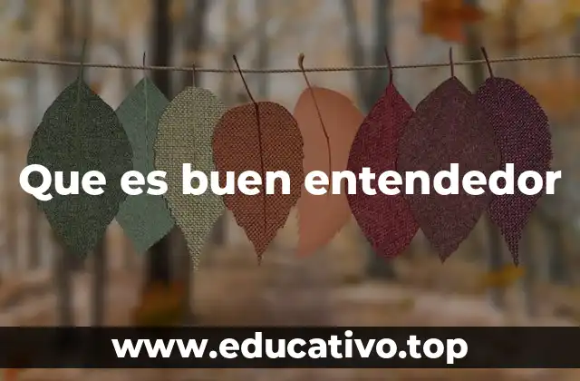 Que es buen entendedor