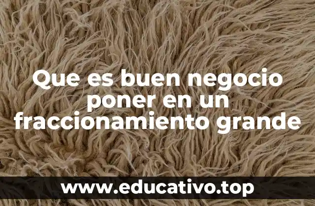 Que es buen negocio poner en un fraccionamiento grande