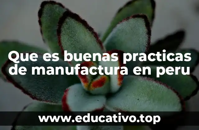 Que es buenas practicas de manufactura en peru