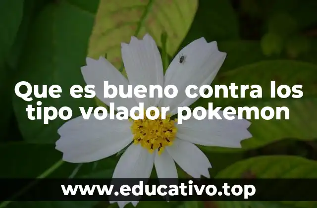 Que es bueno contra los tipo volador pokemon