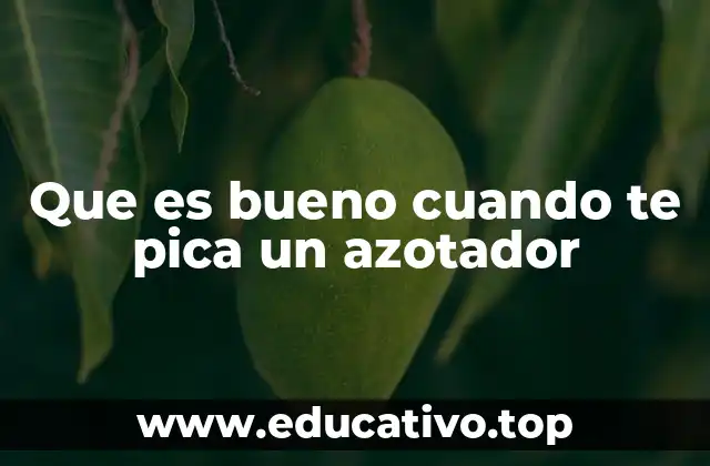 Que es bueno cuando te pica un azotador