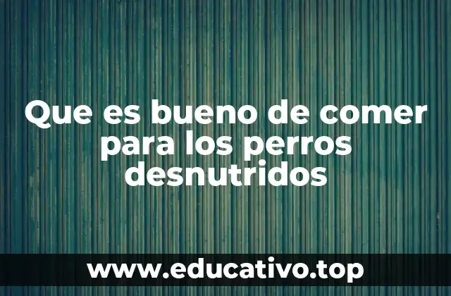Que es bueno de comer para los perros desnutridos
