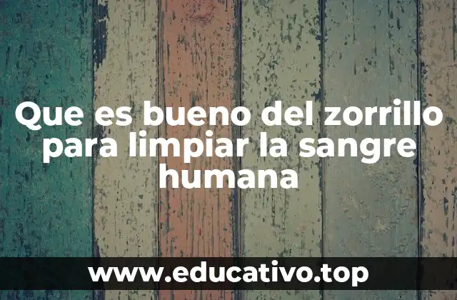 Que es bueno del zorrillo para limpiar la sangre humana