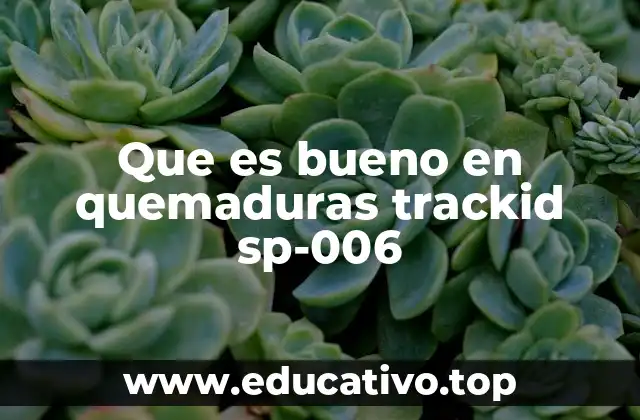 Que es bueno en quemaduras trackid sp-006