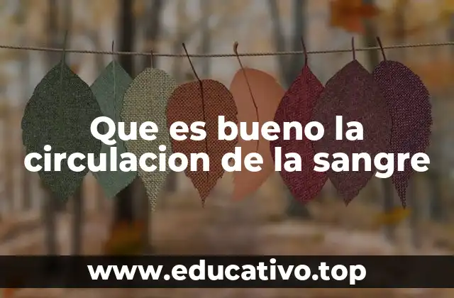 Que es bueno la circulacion de la sangre