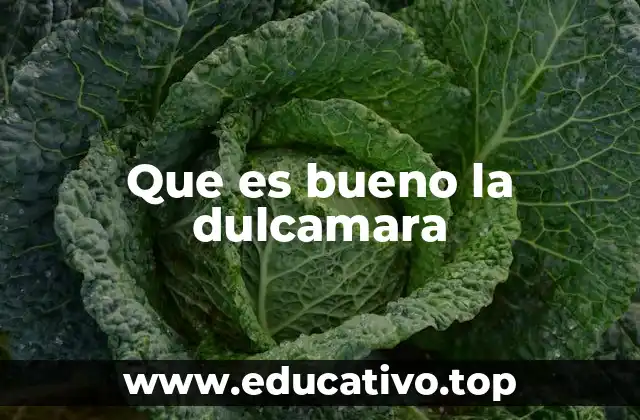 Que es bueno la dulcamara
