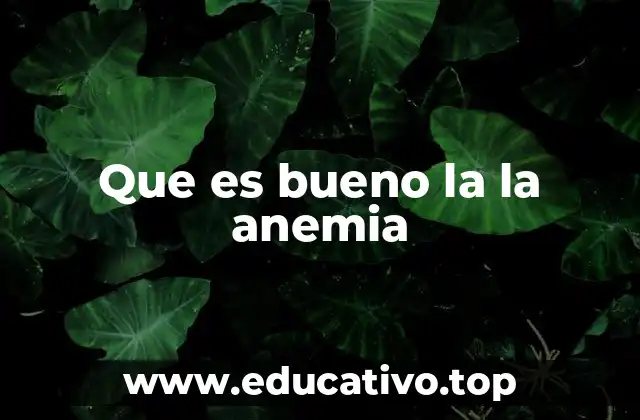 Que es bueno la la anemia