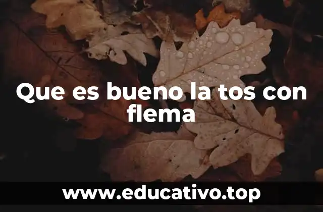 Que es bueno la tos con flema