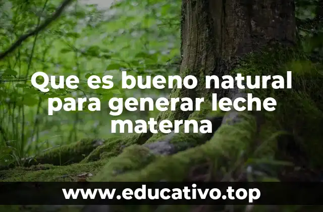 Que es bueno natural para generar leche materna