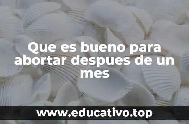 Que es bueno para abortar despues de un mes