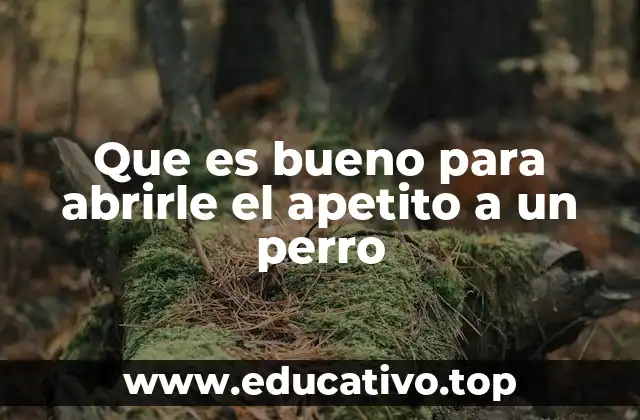 Que es bueno para abrirle el apetito a un perro