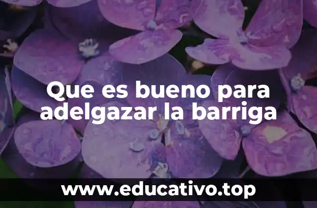 Que es bueno para adelgazar la barriga