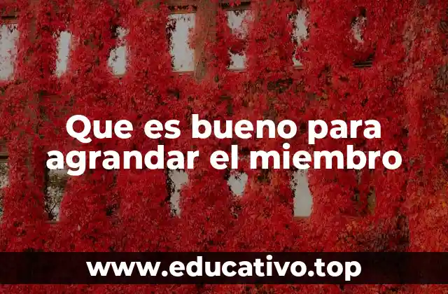 Que es bueno para agrandar el miembro